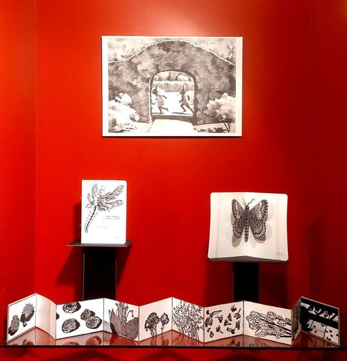 Exposition C